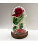 Rosa Eterna Incantata La Bella E La Bestia In Cupola Con Base Legno E Luci A Led