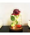 Rosa Eterna Incantata La Bella E La Bestia In Cupola Con Base Legno E Luci A Led
