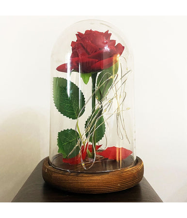 Rosa Eterna Incantata La Bella E La Bestia In Cupola Con Base Legno E Luci A Led