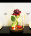 Rosa Eterna Incantata La Bella E La Bestia In Cupola Con Base Legno E Luci A Led