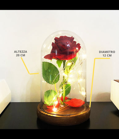Rosa Eterna Incantata La Bella E La Bestia In Cupola Con Base Legno E Luci A Led
