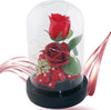 Rosa Eterna Incantata La Bella E La Bestia In Cupola Con Base Pvc E Luci A Led Casa e cucina/Decorazioni per interni/Piante e fiori artificiali/Fiori artificiali Trade Shop italia - Napoli, Commerciovirtuoso.it