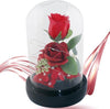 Rosa-Eterna-Incantata-La-Bella-E-La-Bestia-In-Cupola-Con-Base-Pvc-E-Luci-A-Led