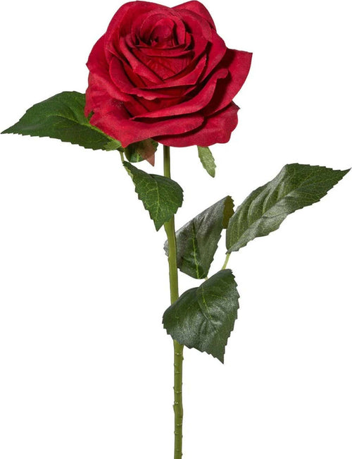 Rosa Finta Artificiale Con Ramo Da 50cm Rose Rosse Blanco Sanremo Fibra Tessuto Casa e cucina/Decorazioni per interni/Accessori decorativi/Soprammobili Trade Shop italia - Napoli, Commerciovirtuoso.it
