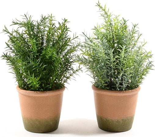Rosmarino Con Vaso In Terracotta, Pianta Artificiale Decorativa H 28 Cm Casa e cucina/Decorazioni per interni/Piante e fiori artificiali/Piante artificiali Decor Space - Altamura, Commerciovirtuoso.it