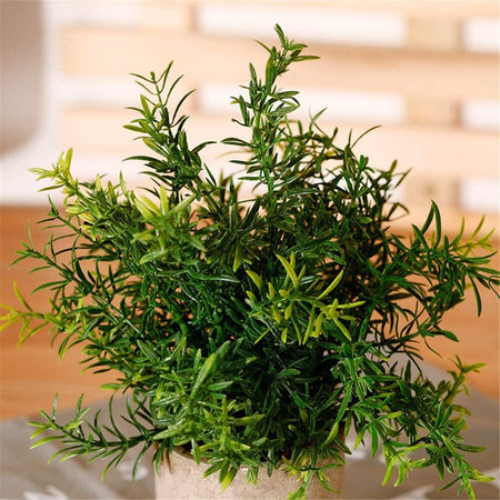 Rosmarino Con Vaso In Terracotta, Pianta Artificiale Decorativa H 28 Cm Casa e cucina/Decorazioni per interni/Piante e fiori artificiali/Piante artificiali Decor Space - Altamura, Commerciovirtuoso.it