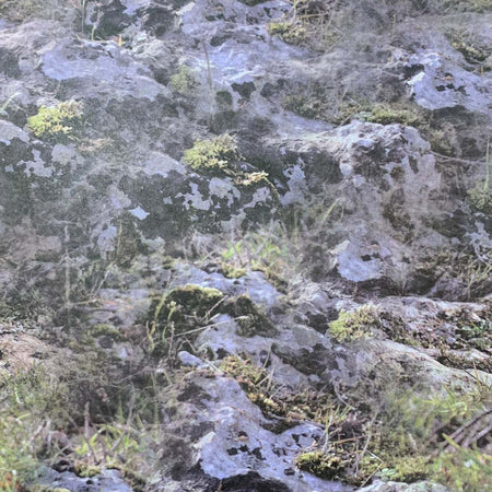 Rotoli carta roccia per presepe sfondo presepio 70 x 100 effetto rilievo Casa e cucina/Decorazioni per interni/Addobbi e decorazioni per ricorrenze/Decorazioni natalizie/Presepi/Statuine e fondali per il presepe MagiediNatale.it - Altamura, Commerciovirtuoso.it