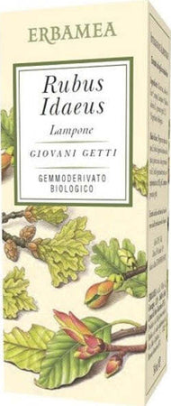 RUBUS-IDAEUS-LAMPONE-Gemmoderivato-50-ml-Erbamea