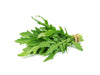 Semi di rucola Selvatica piante per orto e giardino coltivazione domestica e professionale