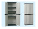 ARMADIO IN RESINA TREND LINE TUTTOPIANI CM. 65x37x165H ARREDO CASA GIARDINO