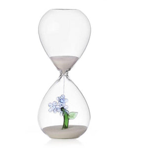 Ichendorf Clessidra fiore azzurro botanica