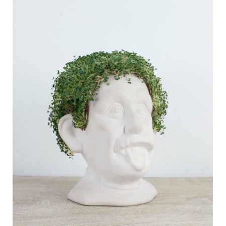 WINKEE Busto in ceramica per coltivare semi di chia