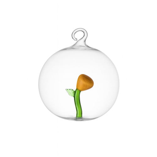 Ichendorf Palla di Natale fiore ambra botanica