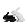 WINKEE Set saliere e pepiere coniglietto