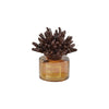 Profumatore 250 ML Melaverde Corallo  Porcellana