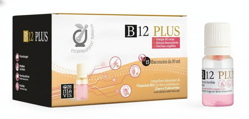 B12