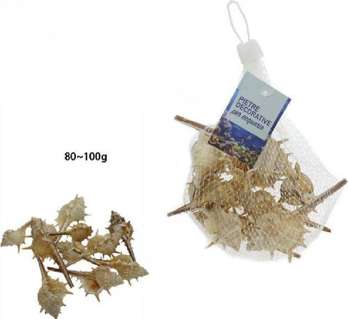 Sacchetto Di Conchiglie Mare Arredo Decorazione Per Acquario Da 80-100 Gr. 70283 Prodotti per animali > Prodotti per Acquari > Decorazioni Acquario Trade Shop italia - Napoli, Commerciovirtuoso.it