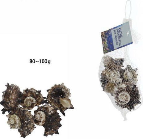 Sacchetto Di Conchiglie Mare Da 80-100gr Decorazione Arredo Per Acquario 70288 Prodotti per animali > Prodotti per Acquari > Decorazioni Acquario Trade Shop italia - Napoli, Commerciovirtuoso.it