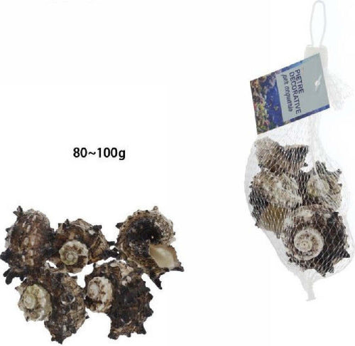 Sacchetto Di Conchiglie Mare Da 80-100gr Decorazione Arredo Per Acquario 70288 Prodotti per animali > Prodotti per Acquari > Decorazioni Acquario Trade Shop italia - Napoli, Commerciovirtuoso.it