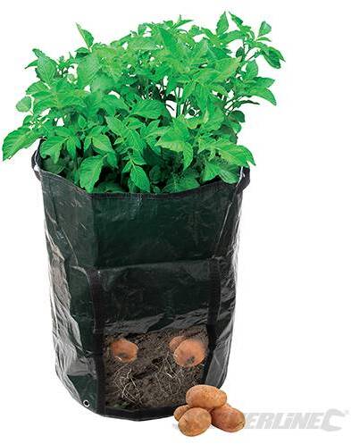 Sacchetto in tessuto di polietilene per piantare patate 360 x 510 mm Silverline