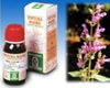 SALVIA-OFFICINALIS-Soluzione-Idroalcolica-25-50-ml-Specchiasol