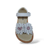 Sandali Tallonati Primi Passi Balocchi Paris 161339 Beige – Pelle Velcro Bambine