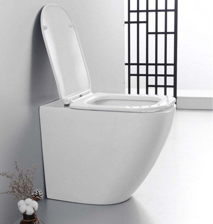 Sanitari-a-Terra-Filo-Muro-in-ceramica-bianca-con-copri-vaso-frizionato-Jolly