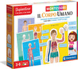 Sapientino-Montessori---Il-corpo-umano