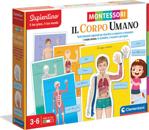 Sapientino-Montessori---Il-corpo-umano