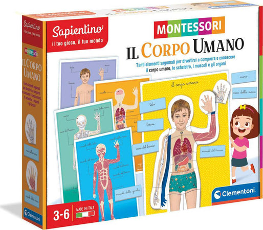 Sapientino-Montessori---Il-corpo-umano