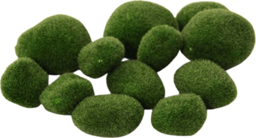 Sassi Muschiati decorativi per presepe e villaggi natalizi 12 pezzi Casa e cucina/Decorazioni per interni/Addobbi e decorazioni per ricorrenze/Decorazioni natalizie/Oggettistica MagiediNatale.it - Altamura, Commerciovirtuoso.it