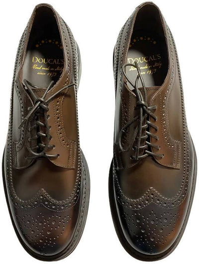 Scarpa uomo Doucal's - Derby Stringate in pelle - Colore marrone