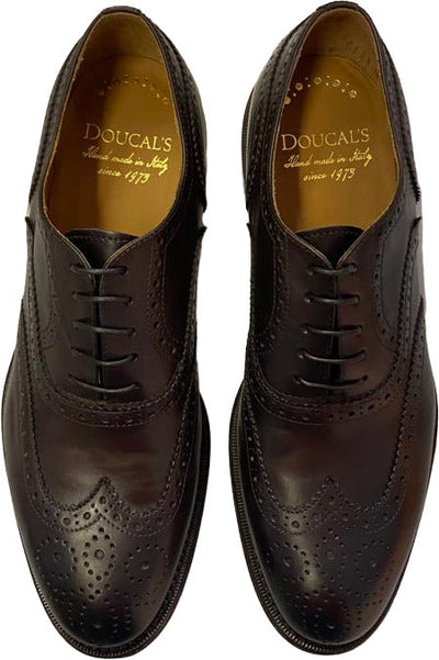 Scarpa uomo Doucal's - Oxford Stringate in pelle - Colore Testa di moro