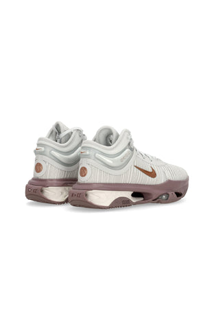 NIKE NBA Scarpa Basket Uomo Air Zoom G.t. Jump 2 Photon Dust/mtlc Red Bronze/taupe Grey da uomo