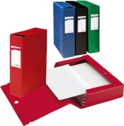 Scatola archivio Scatto - dorso 8 cm - 25 x 35 cm - verde - Sei Rota Cancelleria e prodotti per ufficio/Archivio ufficio e accessori per scrivania/Archivio ufficio/Classificatori/Scatole Eurocartuccia - Pavullo, Commerciovirtuoso.it