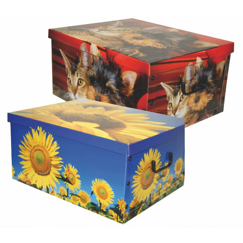 Scatola Portabiancheria Grande (CM 50x40x25H)