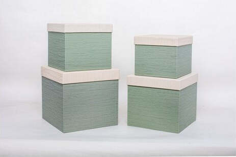 Scatola-regalo-Amicasa-Set-4-Pz-Verde-Assortito