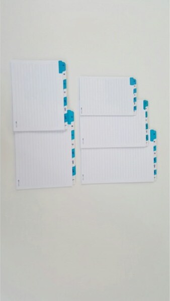 Schede - rubrica A-Z - 17x24 cm (orizzontale) - bianco - Edipro Casa e cucina/Arredamento/Studio/Mobiletti e credenze/Armadi archivio/Armadi archivio schedari Eurocartuccia - Pavullo, Commerciovirtuoso.it