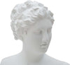 Scultura Roman Woman Cm 21,5X14,5X34 Casa e cucina/Decorazioni per interni/Arte/Sculture/Statue Led Mall Home - Napoli, Commerciovirtuoso.it