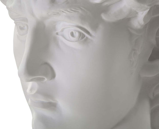 Scultura Testa Antica Bianca Cm 44X35,5X60 Casa e cucina/Decorazioni per interni/Arte/Sculture/Statue Led Mall Home - Napoli, Commerciovirtuoso.it