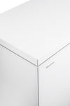 Hisense FC386D4AWLYE Congelatore a pozzo Orizzontale Libera installazione 297L Classe E Bianco