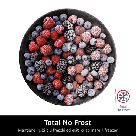 FRIGO 2P.LG GTF744PZPED 78CM CE.E NOFROST D.ACQUA SILVER