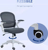 Sedia-da-Ufficio-Ergonomica-con-Schienale-a-Rete-e-Altezza-Regolabile,-65.5x61.5x88-97.5cm,-Grigio-YH6921-511V01GYYH6