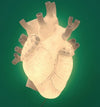 Seletti Heart Lamp Lampada da Parete