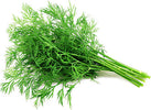 Semi di Aneto piante per orto e giardino coltivazione domestica e professionale Giardino e giardinaggio/Piante semi e bulbi/Piante da esterno/Vegetali La Zappa - Altamura, Commerciovirtuoso.it