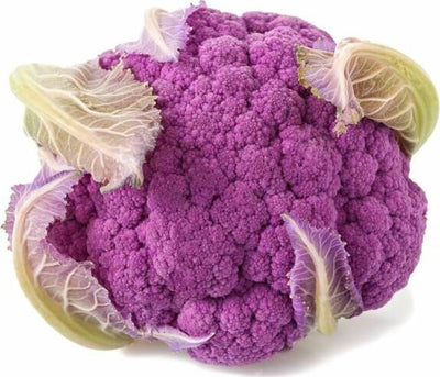 Semi di cavolfiore violetto di Sicilia di marzo piante per orto e giardino Giardino e giardinaggio/Piante semi e bulbi/Piante da esterno/Vegetali La Zappa - Altamura, Commerciovirtuoso.it
