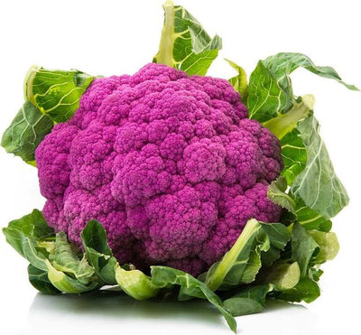 Semi di cavolfiore violetto di Sicilia febbrarese piante per orto e giardino Giardino e giardinaggio/Piante semi e bulbi/Piante da esterno/Vegetali La Zappa - Altamura, Commerciovirtuoso.it