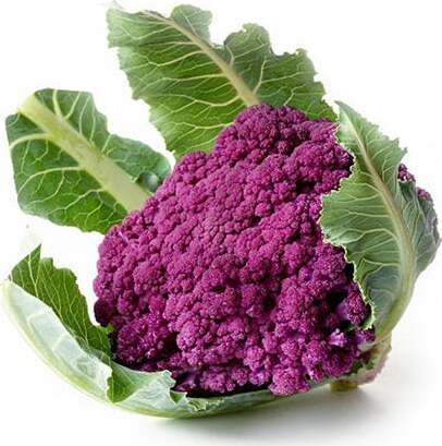 Semi di cavolfiore violetto di Sicilia natalino piante per orto e giardino Giardino e giardinaggio/Piante semi e bulbi/Piante da esterno/Vegetali La Zappa - Altamura, Commerciovirtuoso.it