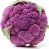 Semi di cavolfiore violetto di Sicilia Settembrino piante per orto e giardino Giardino e giardinaggio/Piante semi e bulbi/Piante da esterno/Vegetali La Zappa - Altamura, Commerciovirtuoso.it