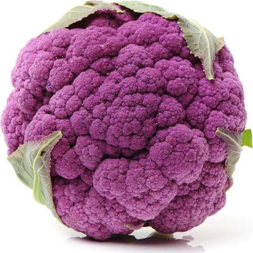 Semi di cavolfiore violetto di Sicilia Settembrino piante per orto e giardino Giardino e giardinaggio/Piante semi e bulbi/Piante da esterno/Vegetali La Zappa - Altamura, Commerciovirtuoso.it